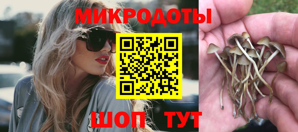 Псилоцибиновые грибы ЛСД Ишимбай